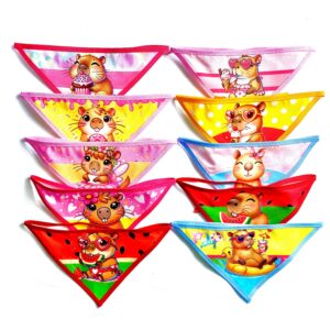 Bandanas Gigantes Capivara - 6 unidades