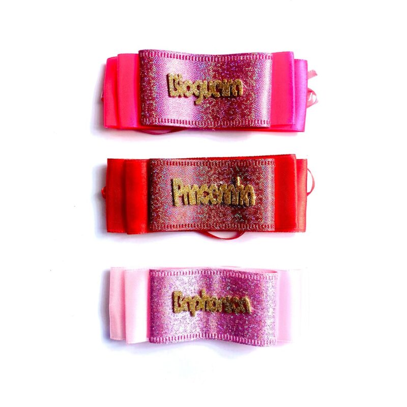 Gargantilha Blogueira - 10 unidades