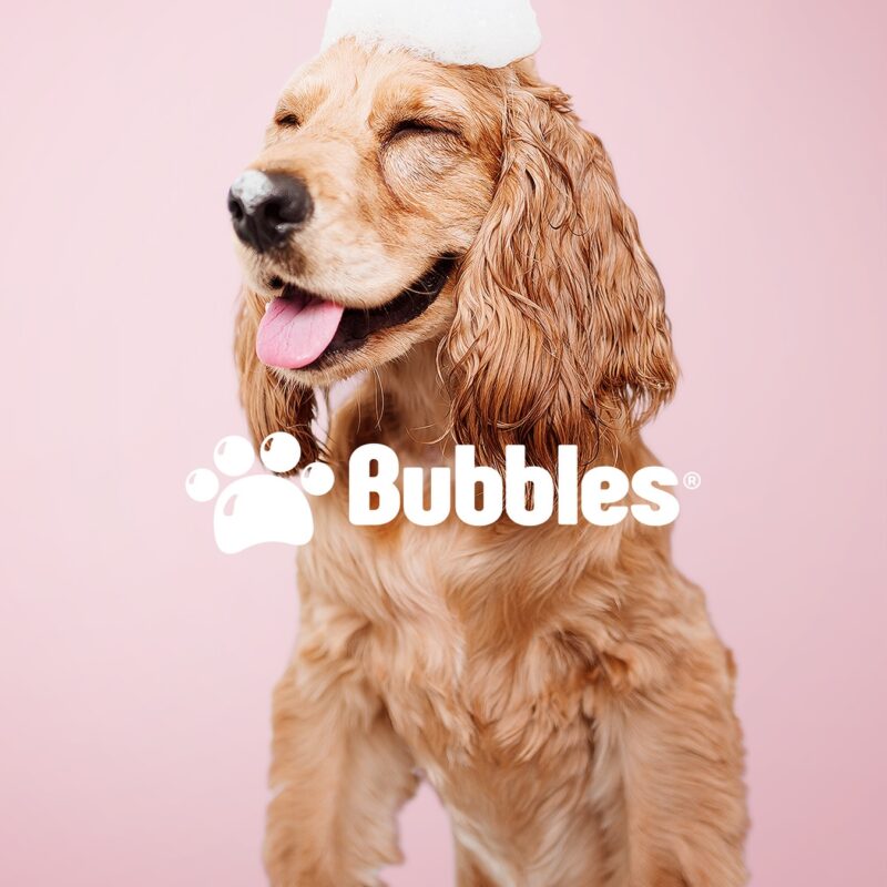 Bubbles Pet